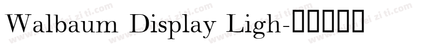 Walbaum Display Ligh字体转换